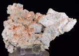 15cms LIMONITE IN SELENITE CRYSTAL COLLECTOR PERU MINERAL SPECIMEN TB129