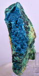 8.2cms QUARTZ CHRYSOCOLLA BOTRYOIDAL TENTADORA MINE PERU MINERAL SPECIMEN CB121