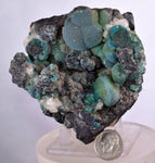 7.9cms DRUZY CHRYSOCOLLA QUARTZ MALACHITE BOTRYOIDAL PERU MINERAL SPECIMEN DB84