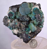 7.9cms DRUZY CHRYSOCOLLA QUARTZ MALACHITE BOTRYOIDAL PERU MINERAL SPECIMEN DB84