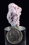 LOT 10 RHODOCHROSITE ROSETTE PERU PINK CRYSTALS HUANZALA MINE MINERAL RB540
