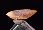 0.9cm RHODOCHROSITE CRYSTALS PERU UCHUCHACCUA MINE MINERAL SPECIMEN RB495