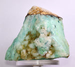 15cms MOUNTAIN OF GEM SILICA DRUZY CHRYSOCOLLA BOTRYOIDAL LILY MINE PERU DB94
