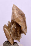 3.7 cms DESERT ROSE SELENITE CRYSTAL PERU GOLDEN SUISEKI TRANSLUCENT TB98