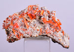 3.1cms GEM RED CROCOITE CRYSTALS CLUSTER MATRIX ADELAIDE MINE AUSTRALIA ZB35