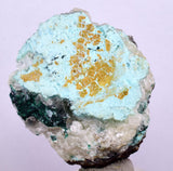4.7cms GEM CLINOATACAMITE CRYSTAL MALACHITE LILY MINE 2000 DISCOVERY PERU AB160
