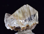 2.6cms GEMY SELENITE CRYSTAL LILY MINE DISCOVERY PERU MINERAL SPECIMEN TB115