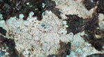 27cms GEM ATACAMITE MALACHITE HALLOYSITE UNKNOWN CRYSTALS CHILE AB247