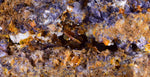 10cms GEM WULFENITE FLUORITE MIMETITE CRYSTALS ALAMO ARIZONA USA MINERAL YB39