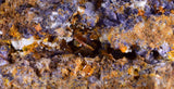 10cms GEM WULFENITE FLUORITE MIMETITE CRYSTALS ALAMO ARIZONA USA MINERAL YB39
