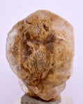 3.7 cms DESERT ROSE SELENITE CRYSTAL PERU GOLDEN SUISEKI TRANSLUCENT TB98