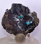 6.8cms DRUZY CHRYSOCOLLA QUARTZ CHILE INCA DE ORO MINERAL SPECIMEN DB93