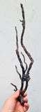 41cms GOLDEN BLACK CORAL PERU NATURAL BRANCH SEA GENUINE VB01
