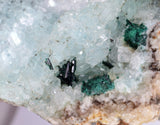 8.5cms ATACAMITE DRUZY MALCHITE CHRYSOCOLLA LILY MINE PERU MINERAL AB141
