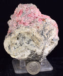 7.8cms RHODOCHROSITE QUARTZ CRYSTAL RHOMBOHEDRAL SUPER MINIATURE RB625