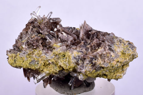 3.8cms PREMIUM AXINITE  QUARTZ CRYSTALS PERU AESTHETIC COLLECTOR AB195