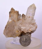 7cms CALCITE WITH QUARTZ CRYSTALS PERU SHINY MINERAL SPECIMEN COLLECTOR GB06
