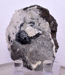4.9cms PEARCEITE POLYBASITE SILVER PERU UCHUCCHACUA MINE MINERAL SPECIMEN HB148