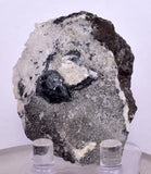 4.9cms PEARCEITE POLYBASITE SILVER PERU UCHUCCHACUA MINE MINERAL SPECIMEN HB148
