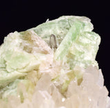 7.5cms AUGELITE CRYSTAL PERU DARK GREEN BRIGHT NEEDLE QUARTZ PASTO BUENO AB233