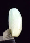 2.3cms PERUMAR STRONTIANITE ARAGONITE SCENIC QUALITY LOOKS LIKE LARIMAR BB281