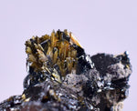 2.4cms GOLDEN RUTILE HEMATITE SPRAY NEEDLES CRYSTALS TITANIUM BAHIA BRAZIL  XB07