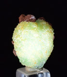 2.5cm PHOSPHOPHYLLITE APPLE BOTRYOIDAL CRYSTAL HOLY GRAIL OF MINERALS BOLIVIA