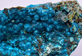 5.5cms QUARTZ CHRYSOCOLLA BOTRYOIDAL TENTADORA MINE PERU MINERAL SPECIMEN CB101