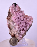 8cms COBALTOAN CALCITE SHINY CRYSTAL MOROCCO MINERAL SPECIMEN GB64