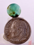2.5carats GEM SILICA CHRYSOCOLLA CABOCHON CHALCEDONY LILY MINE PERU SCENIC BB240