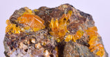 3.2cms GEM WULFENITE FLUORITE CRYSTALS ALAMO ARIZONA USA MINERAL SPECIMEN YB31
