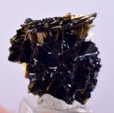 1.6cms GOLDEN RUTILE HEMATITE SPRAY NEEDLES CRYSTALS TITANIUM BAHIA BRAZIL  XB09