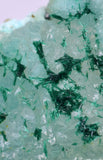 6cms ATACAMITE DRUZY CHRYSOCOLLA  STALACTITE LILY MINE PERU MINERAL AB43