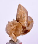 3.6 cms DESERT ROSE SELENITE CRYSTAL PERU GOLDEN SUISEKI TRANSLUCENT TB38
