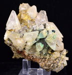8.5cms CALCITE TOOTH DOG WITH QUARTZ CRYSTALS PERU SHINY MINERAL SPECIMEN GB45