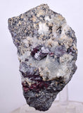 6.7cms PROUSTITE RED RUBY SILVER MINERAL PERU UCHUCCHACUA MINE SPECIMEN HB218