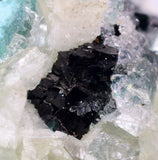 4.7cms GEM CLINOATACAMITE CRYSTAL MALACHITE LILY MINE 2000 DISCOVERY PERU AB160