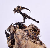 9.5cm NATIVE SILVER WIRES PERU UCHUCCHACUA MINE PYRITE PROUSTITE MANGANITE HB163