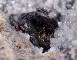 5.3cms NATIVE SILVER WIRE PERU ACANTHITE UCHUCCHACUA MINE MINERAL SPECIMEN HB170
