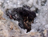 5.3cms NATIVE SILVER WIRE PERU ACANTHITE UCHUCCHACUA MINE MINERAL SPECIMEN HB170