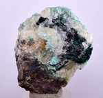 4.7cms GEM CLINOATACAMITE CRYSTAL MALACHITE LILY MINE 2000 DISCOVERY PERU AB160