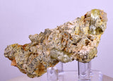 6.7cms YELLOW APATITE CRYSTALS IMILCHIL MOROCCO MINERAL SPECIMEN AB238