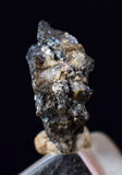 1.2cms NATIVE SILVER WIRE PERU UCHUCCHACUA MINE MINERAL SPECIMEN HB260