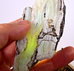 145grs GEM NATURAL SCULPTURE CACTUS SLAB STRONTIANITE ARAGONITE PERU SCENIC CB93