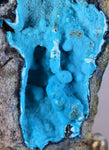 6cms CHRYSOCOLLA GRAPE BOTRYOIDAL PREMIUM PERU SPHERES CRYSTALS CLUSTER CB38