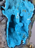 6cms CHRYSOCOLLA GRAPE BOTRYOIDAL PREMIUM PERU SPHERES CRYSTALS CLUSTER CB38