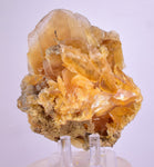 11.5cms GOLDEN SELENITE CRYSTAL PERU FISH TAIL SUISEKI TRANSLUCENT TB127