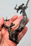 38cms GOLDEN BLACK CORAL PERU NATURAL BRANCH SEA GENUINE VB02
