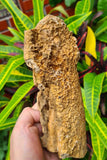 19cms ARAGONITE STALACTITE CALCITE CRYSTALS AESTHETIC MINERAL SPECIMEN PERU EB28
