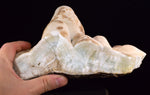 19cms BLUE STRONTIANITE ARAGONITE BOTRYOIDAL CRYSTAL PERUMAR TRANSLUCENT CB162